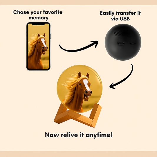 EquiMemories™ – Magic Crystal Video Sphere for Horse Lovers